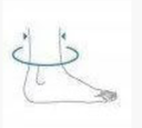 MELLEOTRAIN ENKELBRACE extra 3